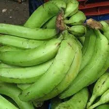 Plantain (Unripe)