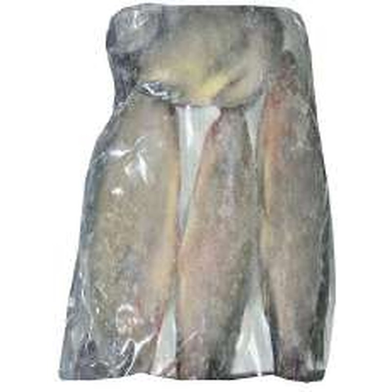 [FFT001] Frozen Tilapia 300/500 Fishnet